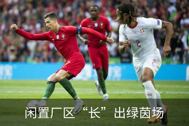 闲置厂区“长”出绿茵场